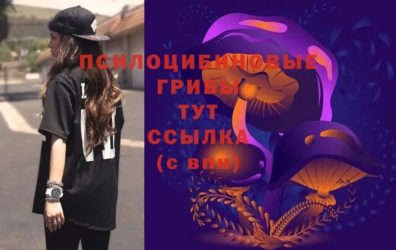 Псилоцибиновые грибы Psilocybe  МЕГА рабочий сайт  Медынь 